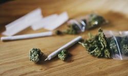Cannabis use during work raises workplace injury odds, research shows