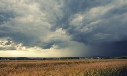 Weather disasters linked to rising mental health issues