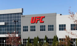 California senators call for UFC president's dismissal