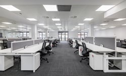 What AI 'doom trolling' means for workforce planning