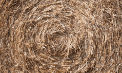 Farm faces employer liability after workplace safety failures injure driver