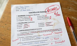 Should you sack your CEO if they can't speak French?