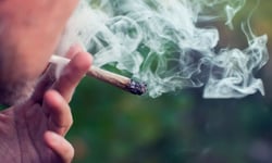 Reinstated: Ontario worker fired for cannabis use