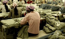 Forced labour ban must protect workers, not just stop goods: report