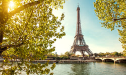 Manager sacked over decision to move to France with her husband to work remotely