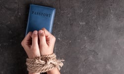 NSW's migrant workers at risk of modern slavery