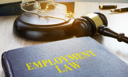 Last chance to register for Employment Law Masterclass