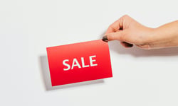 Consultant's engagement terminated after business sale while working on software integration
