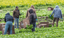 New bill gives migrant workers greater protection