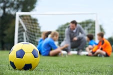 Football Ferns head coach on leave amid employment probe