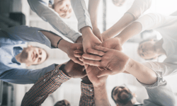 Majority of CEOs rank culture as top driver for value: study