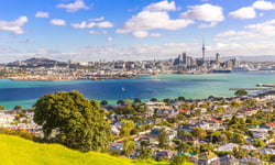 Auckland rents hold steady as renter interest surges