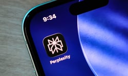 Why is one AI startup in no rush to join the year's biggest IPO wave