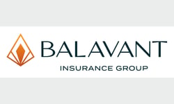 Balavant adds CFO and COO
