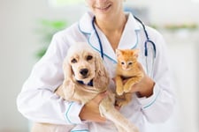 Revealed – the largest independently owned pet insurance company in the US