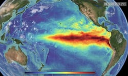 Reinsurers enter January renewals flush as record El Niño builds