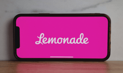 Lemonade profits jump but net loss stings