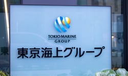 Tokio Marine HCC names Megann Pfeffer to lead public risk group