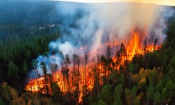 Insurers' own rebuild estimates are driving most underinsurance, study finds
