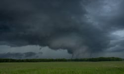 Two insurers report spike in March storm losses