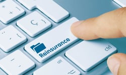 Fifth Circuit revives Porch.com claim against Gallagher Re over Vesttoo fraud