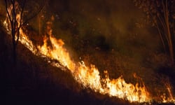 Western wildfires expose coverage gaps as carrier moratoriums spread