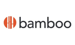 Bamboo Insurance files for IPO - what it means for brokers relying on its wildfire capacity