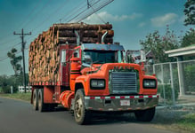 Inszone targets logging and forestry book in Oregon deal