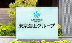 Tokio Marine leans on overseas growth as domestic non-life profit weakens