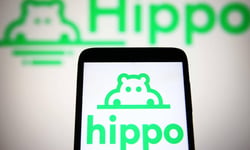 Hippo posts fifth straight profitable quarter, raises full-year guidance