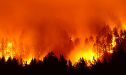 Reno wildfire grows to 15,000 acres as Nevada's new wildfire exclusion law faces its first real test