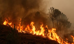 Six West Midlands fires expose UK's wildfire modelling gap
