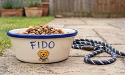 Aviva says pet and Green Flag cover is where its 6-7% market share can grow