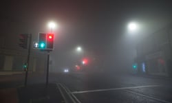 Motor insurer beats claim despite driver's 'too busy' remark to police
