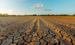 Severe drought puts uninsured crop losses and subsidence in focus