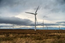 Renewable energy buyers hold the cards as insurer appetite hits highs