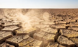 Half of England declared in drought as insurers face exposure beyond subsidence