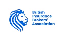 BIBA names four new advisory chairs to main board