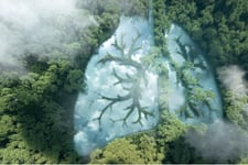 Intact Financial, Intact Public Entities provide $1 million in climate resilience support