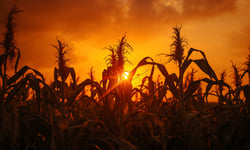 El Niño expected to weaken hurricane activity in 2026