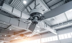 CAA wins Ontario LAT ruling after worker hit by ceiling fan