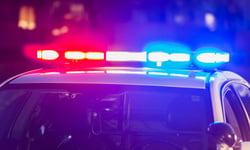 Ontario police forces hold auto theft summit