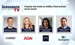 Property risk trends as wildfire, flood and hail losses mount