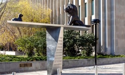 Ontario court rules COVID-19 laws froze 90-day notice clock for insurers