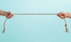 Court bars Northbridge's law firm from acting for and against insured