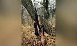 Ontario court makes Aviva, insurers share duty to defend hunting claim