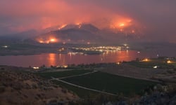 Canada's fourth-worst wildfire season has barely dented P&C insurer results