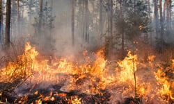 Severe weather losses top $2.4bn as climate costs fuel affordability fears