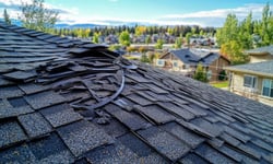 Alberta hail insurance market fractures as government stalls on building code reform