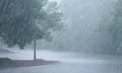 Record Ottawa rainfall drives $439 million storm claims